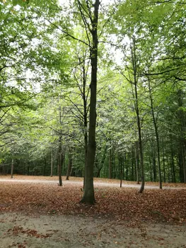 Gaasbeek + Castle of Gaasbeek (Lennik, Belgium)